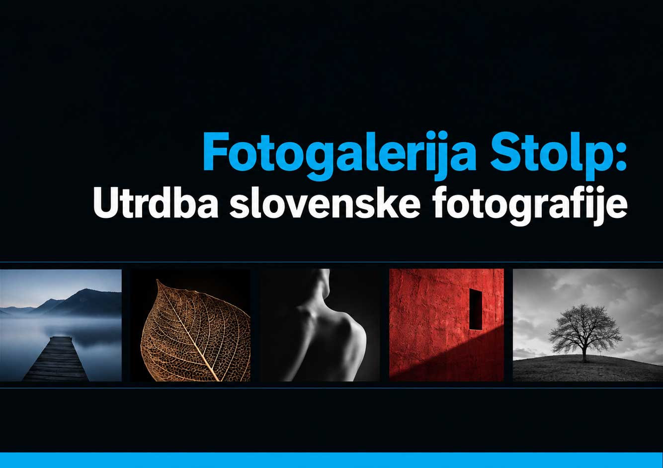 Fotogalerija Stolp, utrdba slovenske fotografije, vključuje razstavljene fotografije narave in umetnosti.