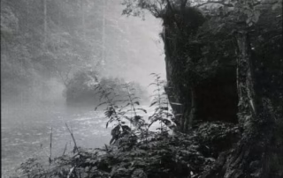 Meglična pokrajina ob reki Kamniška Bistrica