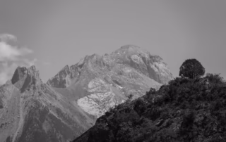 Gorska krajina Provanse s skalami in drevesom.